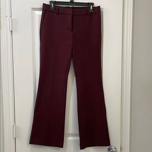 Ann Taylor Burgundy Women's Pants